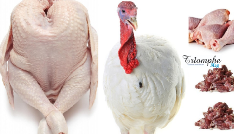 Bénin l'alerte très tardive sur une viande de dinde contaminée à la Salmonella