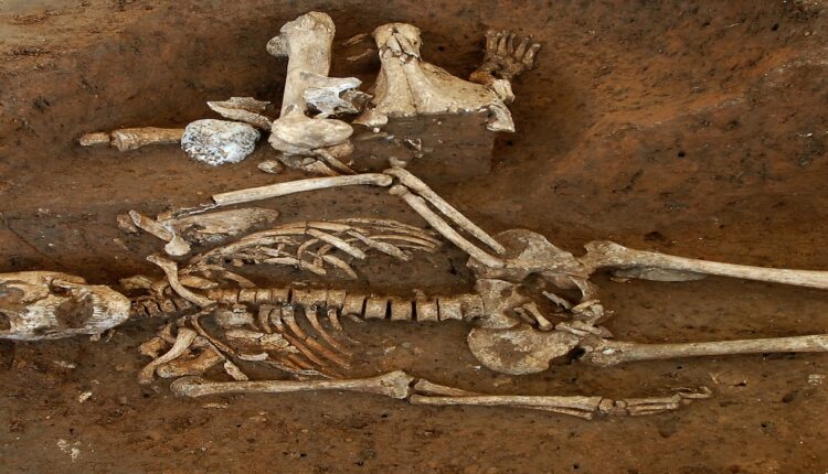 ossements humains @ RTL