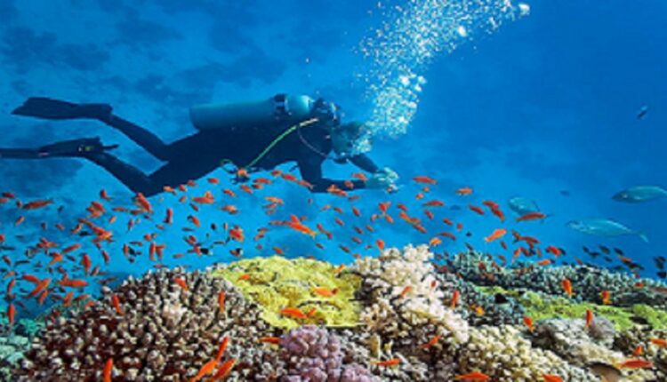 aires marines protégées au bénin @ Elle.jpg