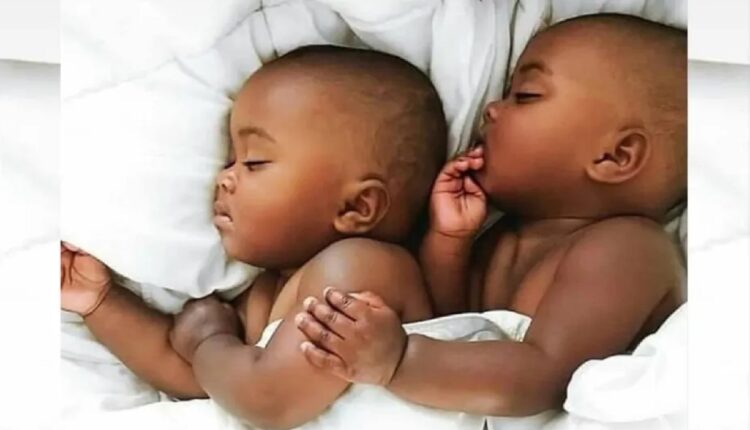 Bébé noir , des jumeaux