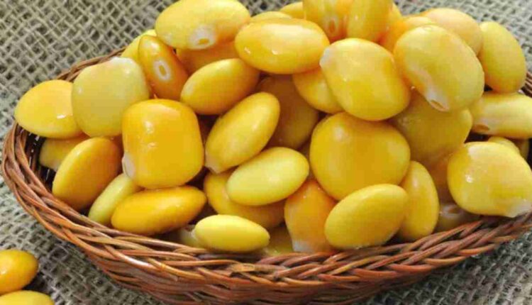 Les bienfaits du lupin pour la santé cardiaque