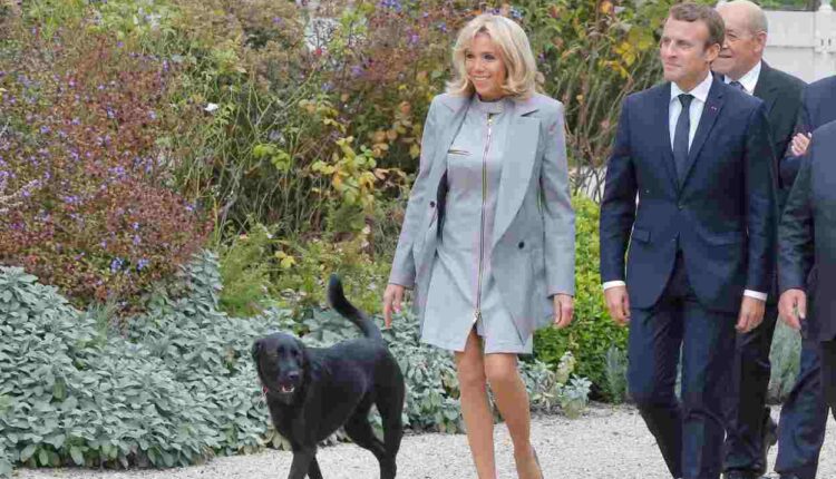Emmanuel et Brigitte Macron accueillent 2 nouveaux chiens à l'Élysée