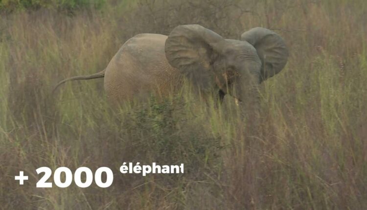 African Parks Bénin